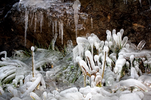 Immagine con ghiaccio, inverno, bianco, freddo, gelo, ghiaccioli, stalattiti