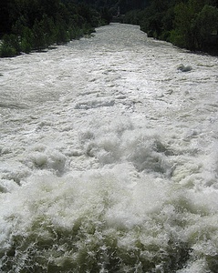 fiume, acqua, schiuma, torrente, piante, bianco, corrente