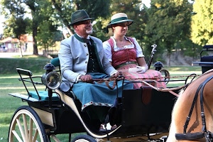 cappelli, carrozza, cavallo, alberi, coppia, costumi, carrozzella, verde, passato, redini, calesse, donna, ruota, uomo, parco, azzurro, due, rosa, persone
