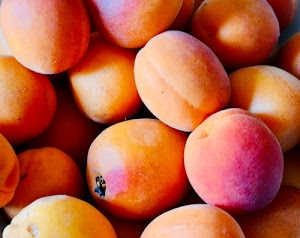 frutta, albicocche, arancione, albicocca, rosso, giallo, frutti, picciolo, tanti, viola, arancio
