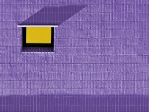 viola, giallo, finestra, muro, ombra, nero, mattonelle, bicolore