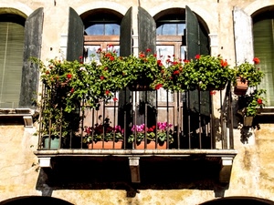 balcone, fiori, finestre, vasi, ringhiera, persiane, gerani, finestra, ante, terrazzo