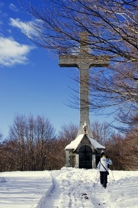 croce, neve, alberi, inverno, sciatore, cappella, rami, chiesa, cielo