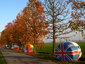 alberi, bandiere, autunno, strada, colori, viale, balle, foglie, prato