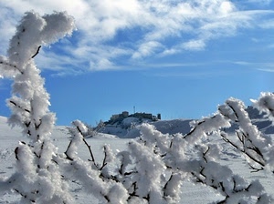 neve, rami, cielo, nuvole, bianco, inverno, ghiaccio