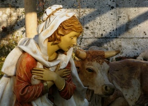 presepe, madonna, bue, mani, statue, presepio, velo, mucca, corna, animale