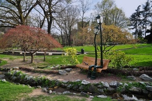 panchina, lampioni, alberi, verde, giardino, parco, erba, prato, pietre, sassi, sentiero, gatto, aiuole, massi